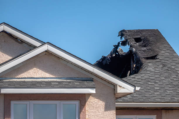 Licensed Fire Damage Removal service in Palm Harbor, FL - Fire Damage Laser Cleaning